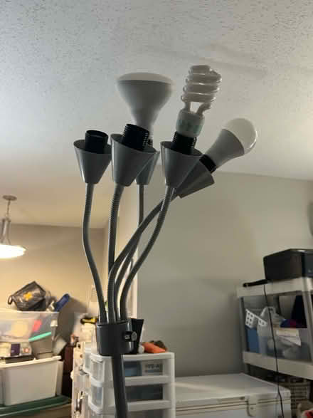 Photo of free Lamp wave board chair (Fairfax virginia) #1