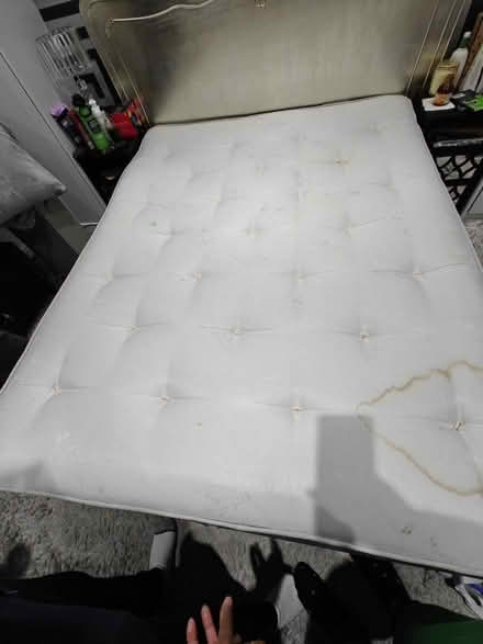 Photo of free King-size mattress (Moldgreen HD5) #3