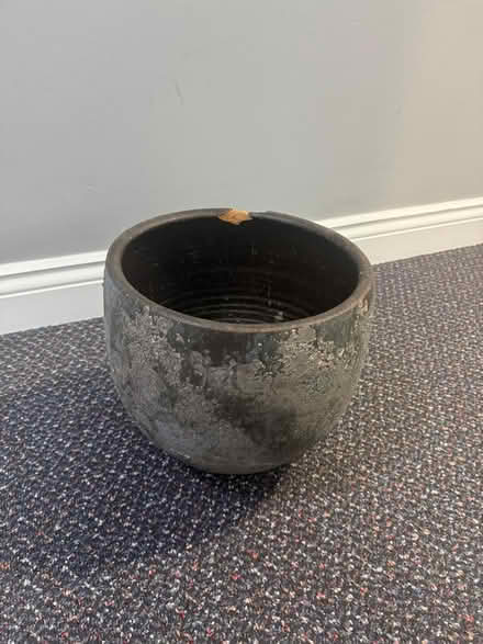 Photo of free Large Plant vase (St Pauls, BRISTOL BS2 8RZ) #1