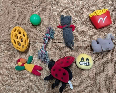Photo of free Various doggy items (HA6 Northwood) #3