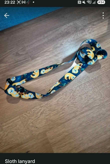 Photo of free Sloth lanyard (plaistow e130ha) #1