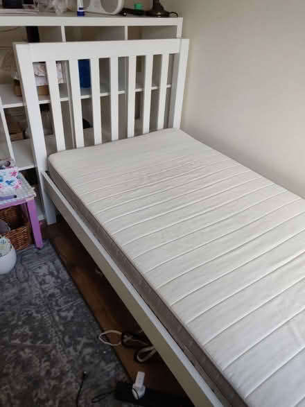 Photo of free Single bed frame and mattress (Hove BN3) #2