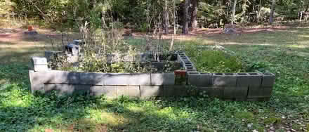 Photo of free 130ish cinder blocks (Croaker area of Williamsburg) #1
