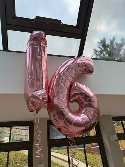 Photo of free 1 + 6 pink helium balloons (St John's TN13) #1