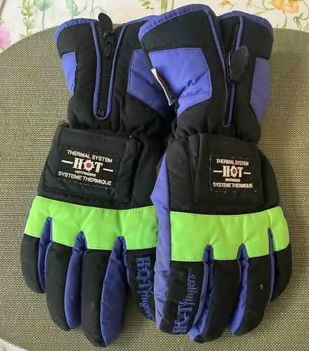 Photo of free Winter Gloves (Terra Linda) #1