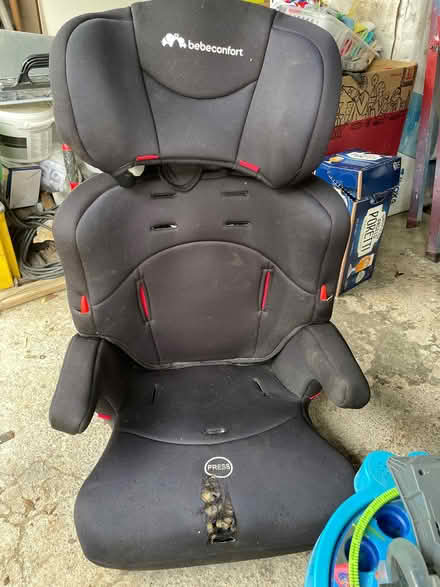 Photo of free Child’s car sest (Hellesdon NR6) #1