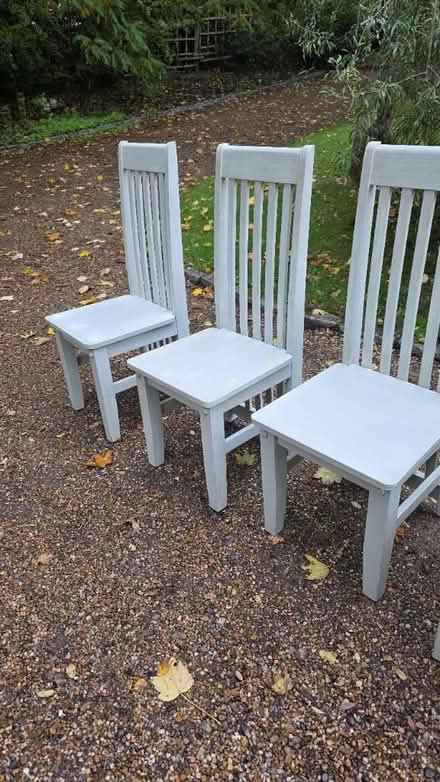 Photo of free 5 kitchen or dining chairs (Old Harlow CM17) #4