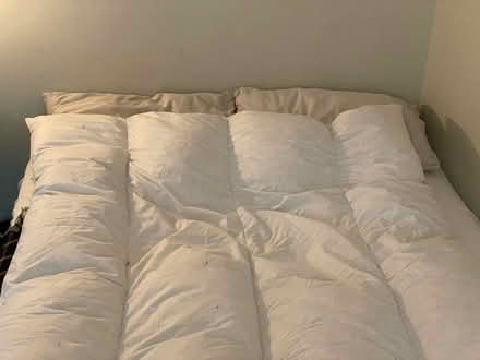 Photo of free Double Duck Feather Cotton Topper (Rochester ME1) #3