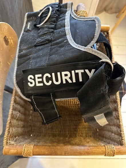 Photo of free Large Dog Harness (Warwick CV34) #1