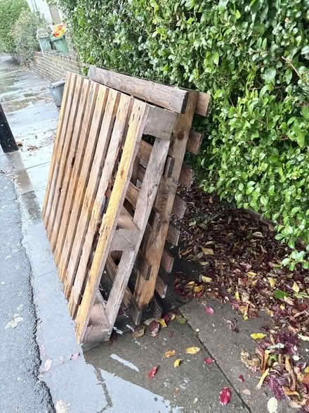 Photo of free 2x Wooden Pallets (Brockley SE4) #1