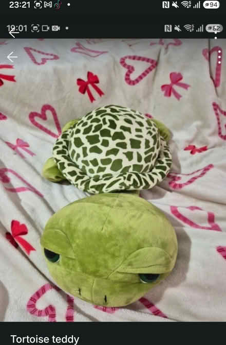 Photo of free Turtle teddy (plaistow e130ha) #1