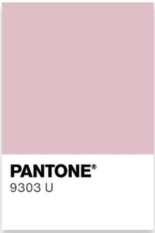 Photo of free Medium pink fluffy rug (Central Lancaster LA1) #2