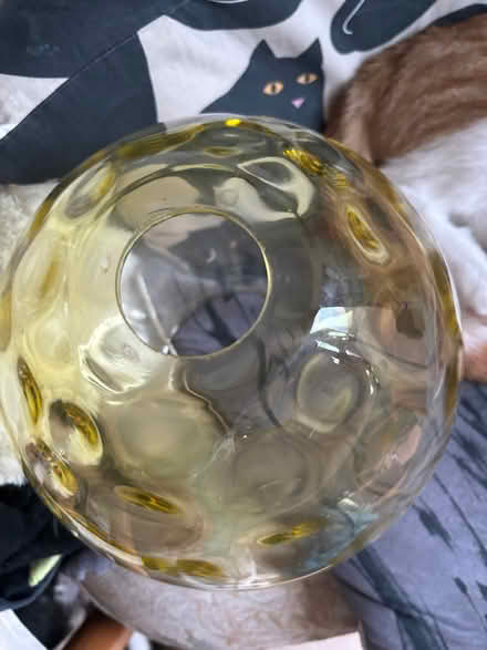 Photo of free Glass lampshade (Gillingham ME7) #4