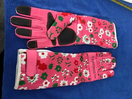 Photo of free Garden gloves (Chatham ME5) #1