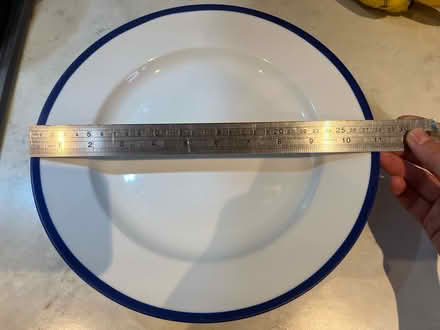 Photo of free 4 big heavy plates (W55ES) #2
