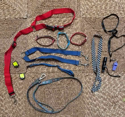 Photo of free Various doggy items (HA6 Northwood) #1