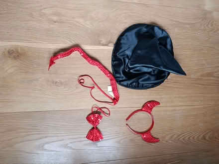 Photo of free Halloween costumes/accessories (Sutton Courtenay OX14) #3
