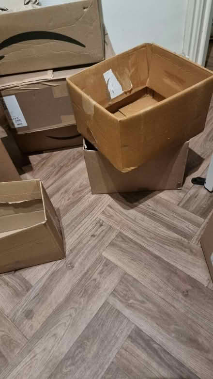 Photo of free Assorted boxes (stroud green N4) #2