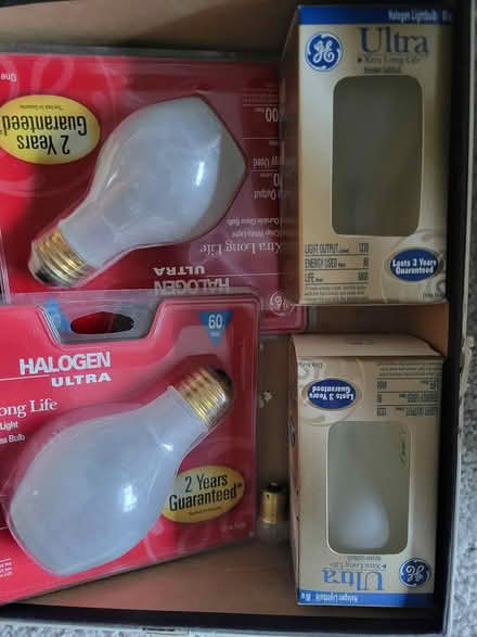 Photo of free halogen lightbulbs (FC near RMHS) #1