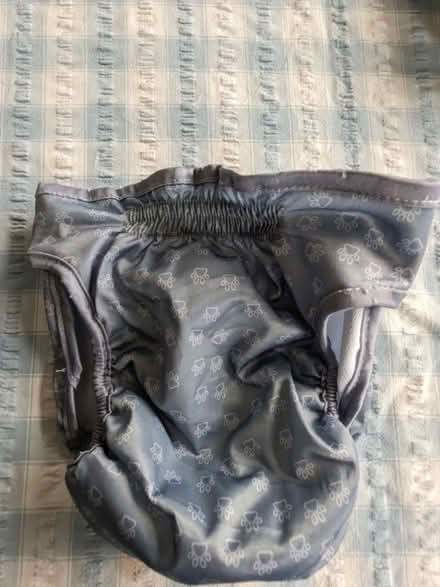 Photo of free Dog Nappies (East Dean BN20) #1