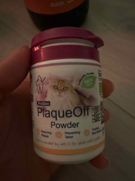 Photo of free Cat stuff (Finsbury park) #3