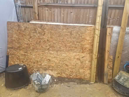 Photo of free OSB Boards (Aylesham CT3) #2