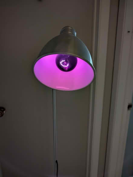 Photo of free Black lightbulbs (Lakeview, close to Bayshore) #2