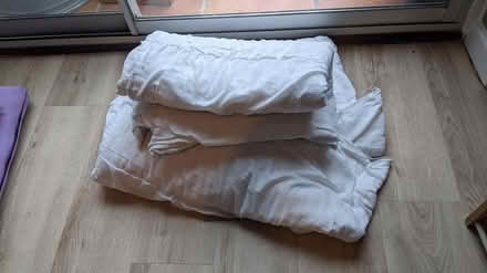Photo of free Old single duvets (west side of Horsham RH12) #1
