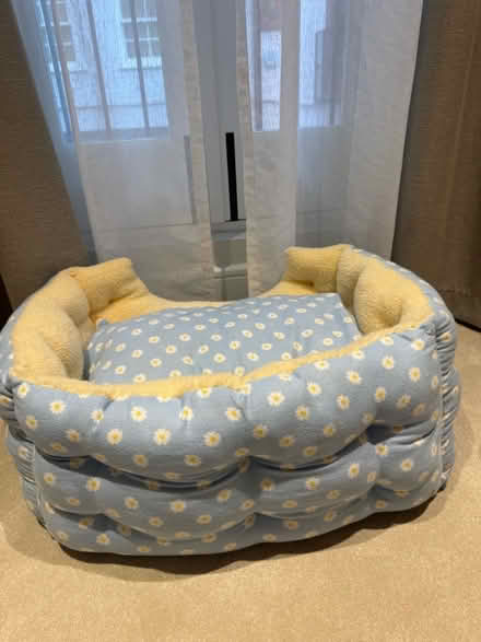 Photo of free Pet bed (South Kensington SW7) #3