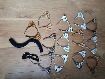 Photo of free Halloween costumes/accessories (Sutton Courtenay OX14) #4