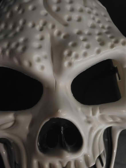 Photo of free Skeleton mask (Rufford L40) #2
