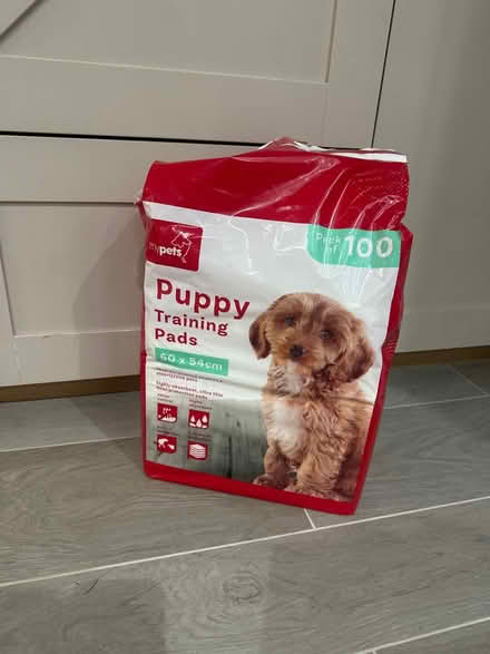 Photo of free Puppy training pads (Kilburn derby DE56) #1