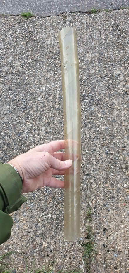 Photo of free Spiral tree guards (Lakenham NR1) #1