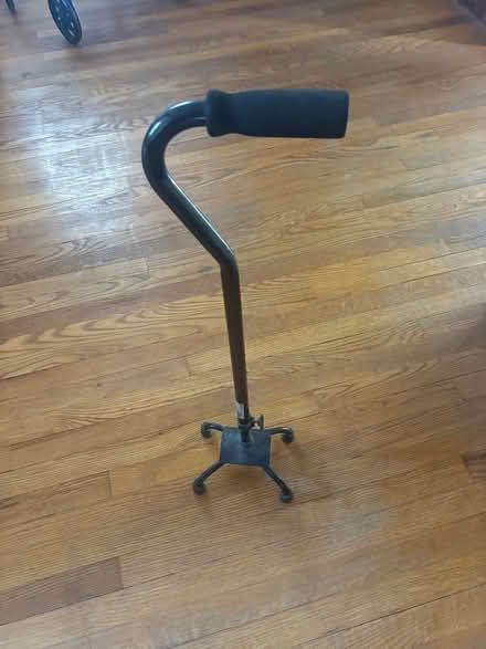 Photo of free Rolling seat walker, stability cane (Norwood) #1