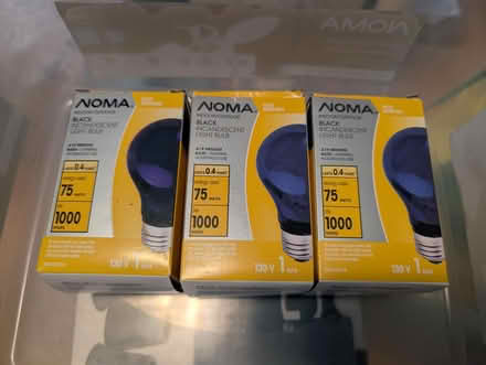 Photo of free Black lightbulbs (Lakeview, close to Bayshore) #1