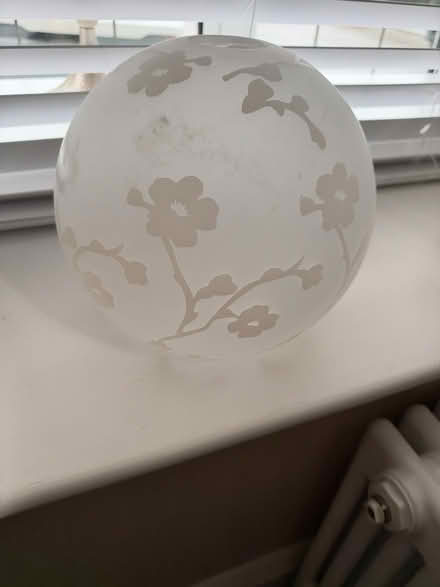 Photo of free Glass Lampshade/light Shade 10” (Billericay CM11) #1