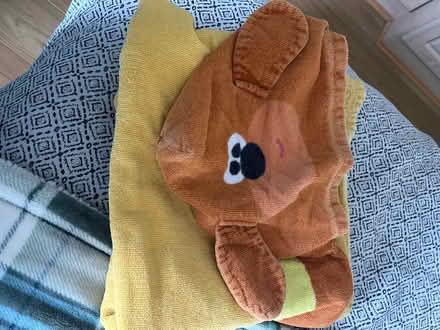 Photo of free 2 children’s hooded towels (Broomfield CM1) #1