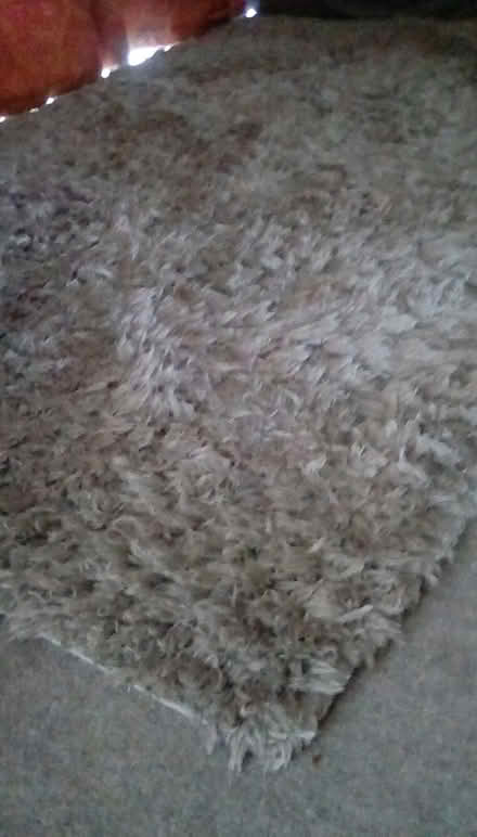 Photo of free Next shaggy rug (Wigston, LE18) #1