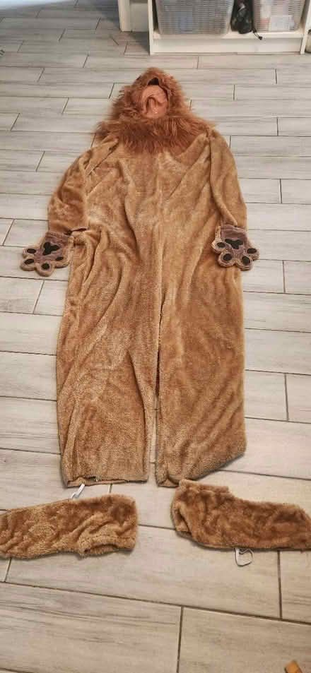 Photo of free Men's Size LG Lion Costume (Pearland, TX) #2