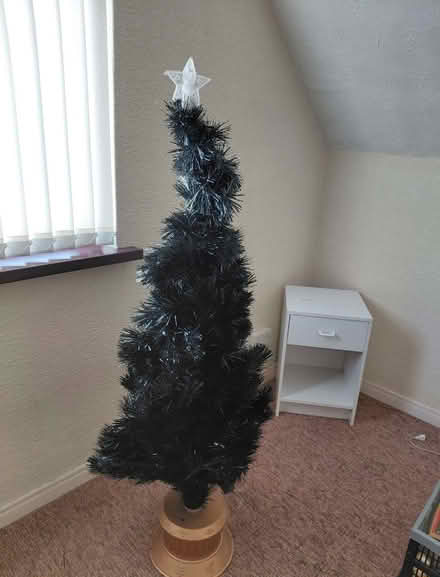 Photo of free Christmas Tree (Derryaghy BT28) #1