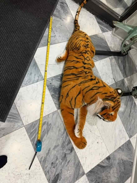 Photo of free Big Tiger Stuffed Animal (River West/West Loop) #1