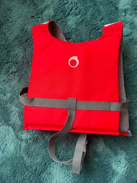 Photo of free Mini life vest (Hayes BR4) #3