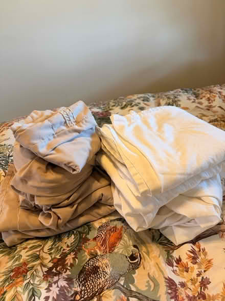 Photo of free 2 sets of queen size sheets (Mount Auburn) #1