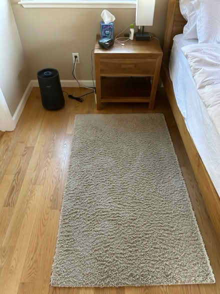 Photo of free Two 3’ x 5’ Rugs (Los Gatos) #1