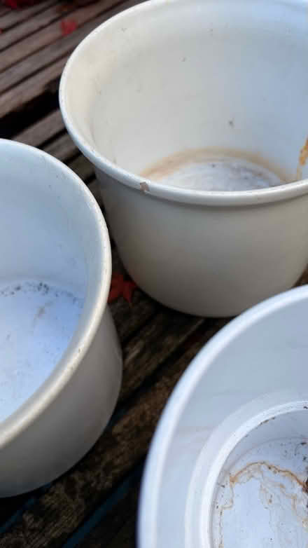 Photo of free Indoor Plant Pots (Potters Bar, EN6) #3