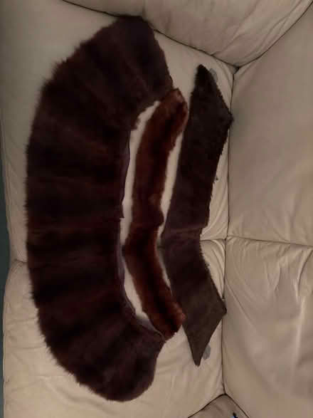 Photo of free bits of fur (Hala LA1) #1