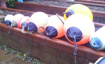 Photo of free Boating gear: fenders, buoys, paddle and oars. (Caldbeck CA7) #2
