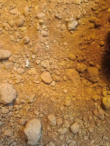 Photo of free Desert sand (Littlemore OX4) #1