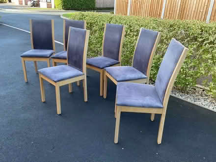 Photo of free 6 Dining Chairs (Norton in Hales TF9) #4