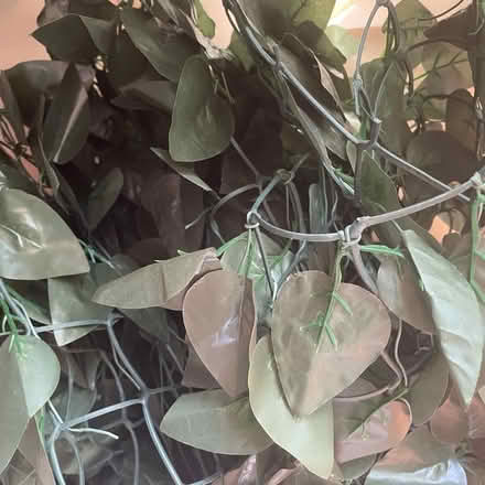 Photo of free Faux Leafy Foliage (BH23) #2